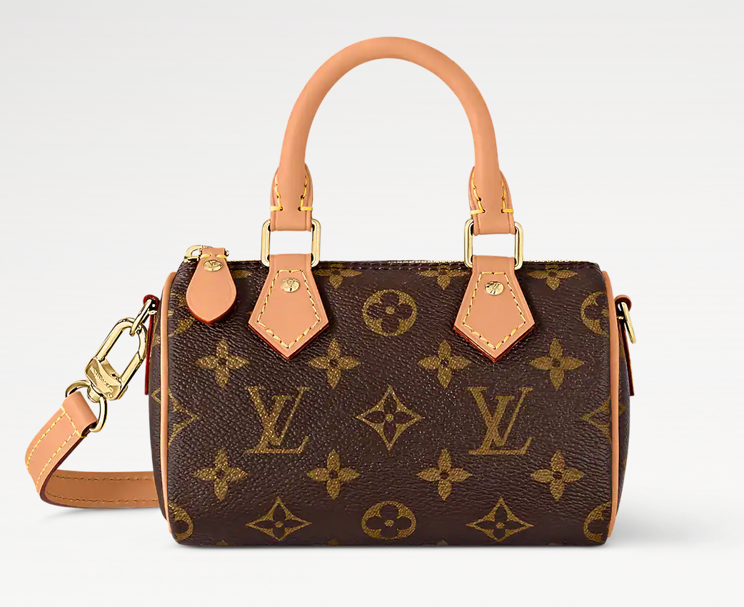 Louis Vuitton Mini Bag Nano Speedy